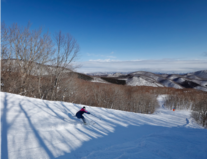 Spring Valley Sendai Izumi (Miyagi Pref.)