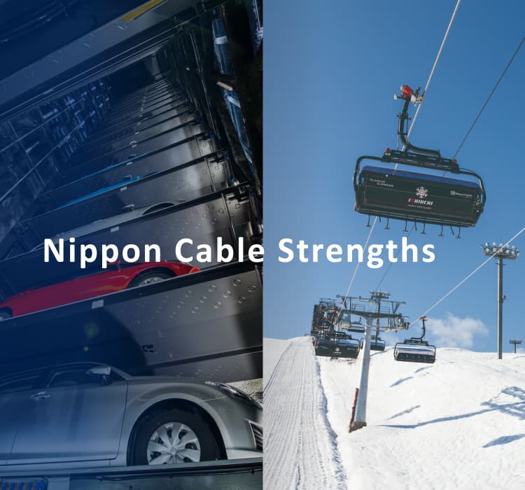 Nippon Cable Strengths